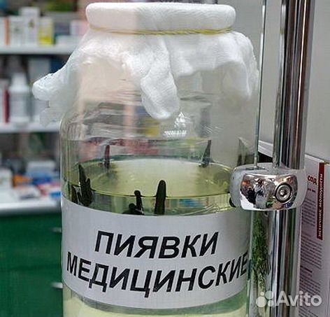 Где Купить Пиявок В Москве В Аптеке