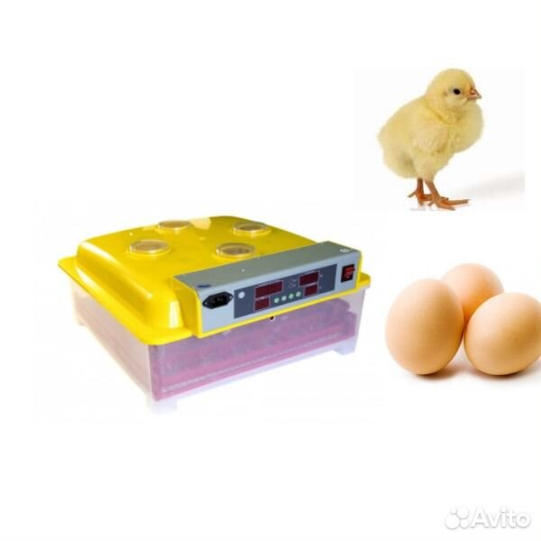 Инкубатор идеальная наседка 12в. Инкубатор иб2нб. Инкубатор egg incubator. Incubator weiqian. Инкубатор иб2нб.