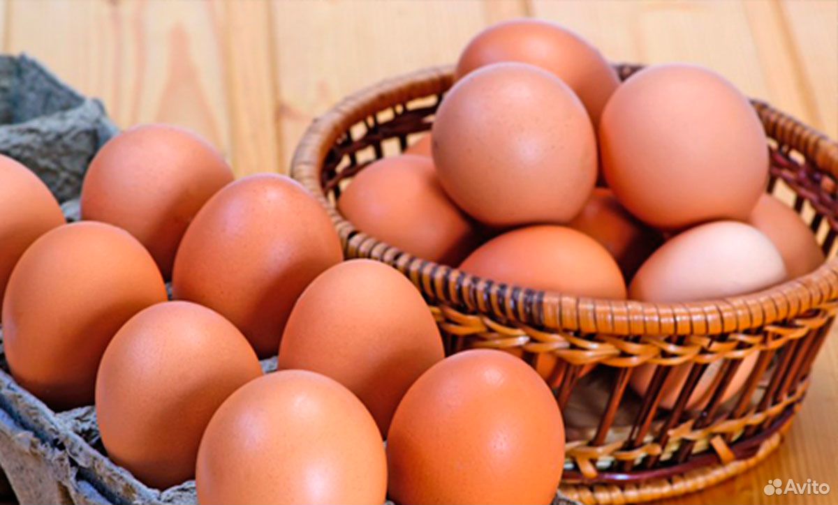 Яйца куринные домашние купить на Зозу.ру - фотография № 1
