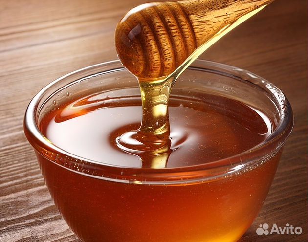 Пчелы Бакфаст, мёд купить на Зозу.ру - фотография № 2