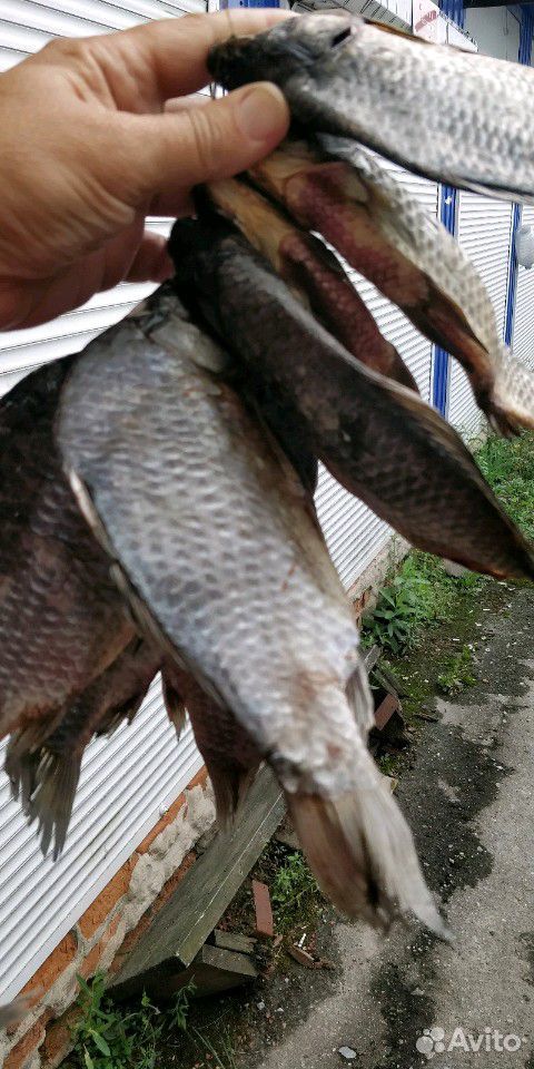 Рыба вяленая купить на Зозу.ру - фотография № 2