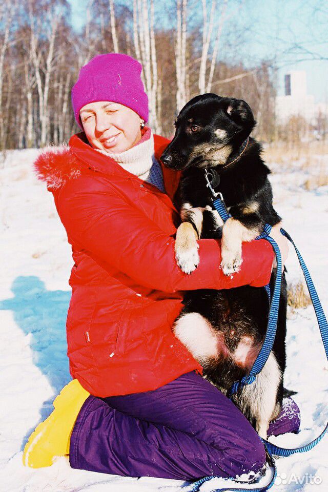 Небольшой пес Баги в дар купить на Зозу.ру - фотография № 9