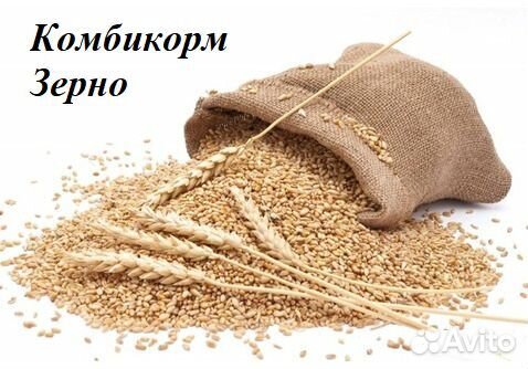 Зерно и комбикорм купить на Зозу.ру - фотография № 1