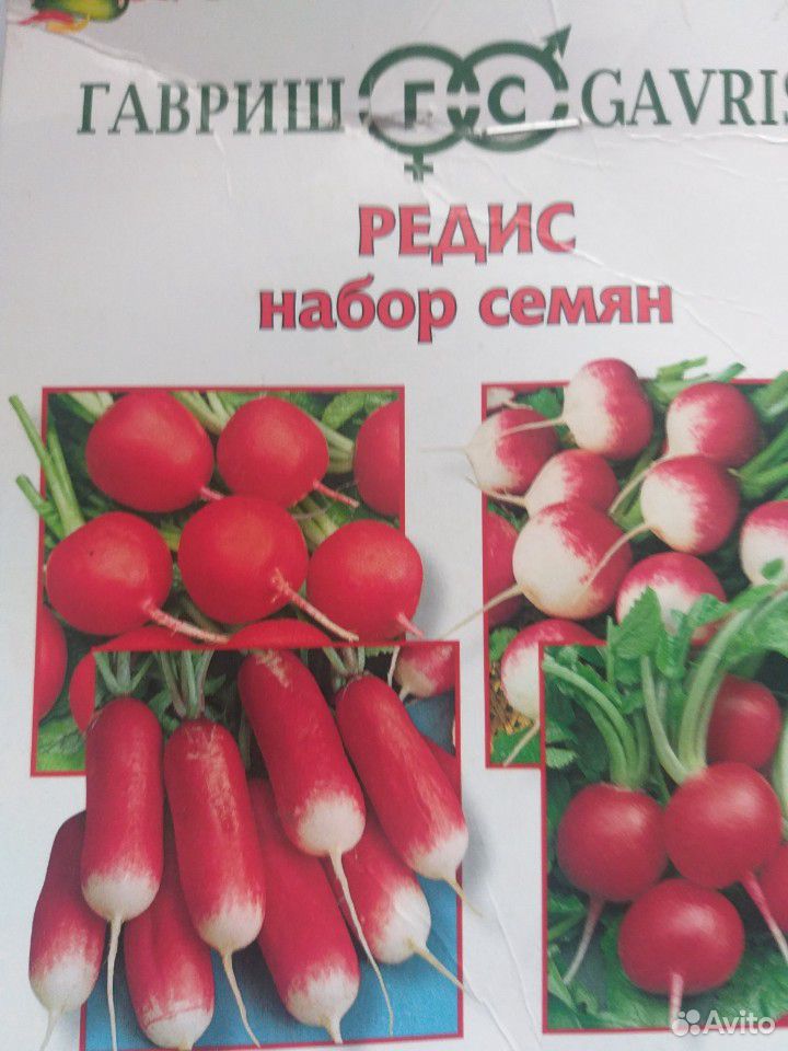 Продается редис, лук батун купить на Зозу.ру - фотография № 1