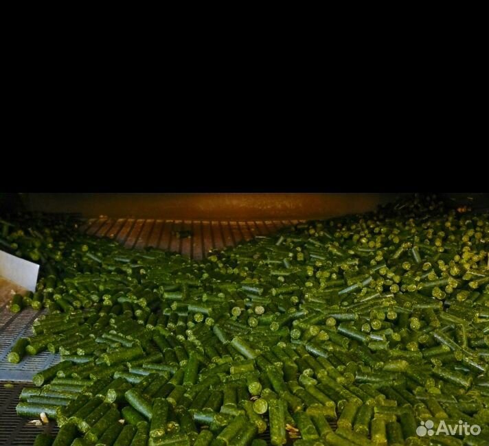 Травянная мука люцерна, разнотравье в гранулах купить на Зозу.ру - фотография № 4