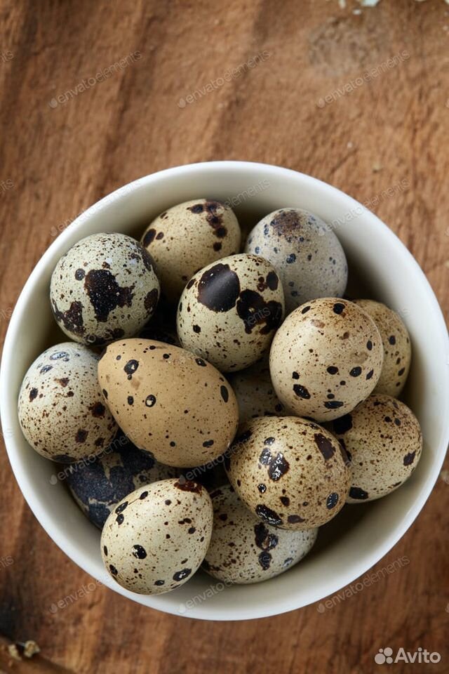 Домашние перепелинные яйца купить на Зозу.ру - фотография № 1