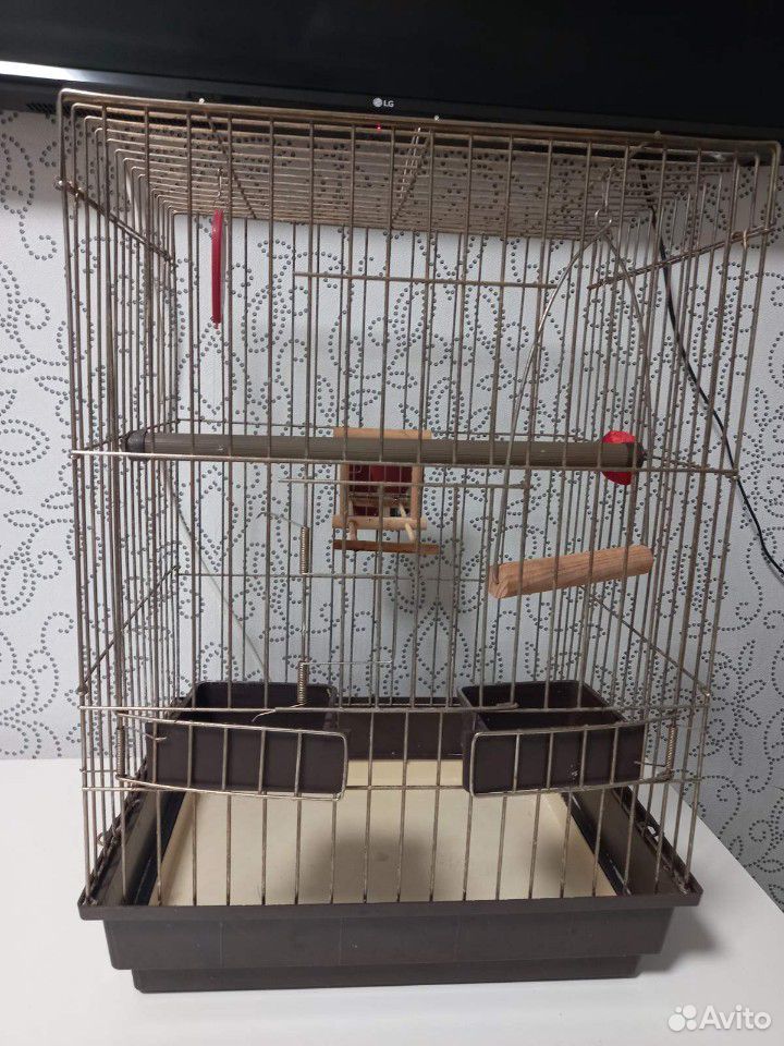 Клетка большая для попугая купить на Зозу.ру - фотография № 3