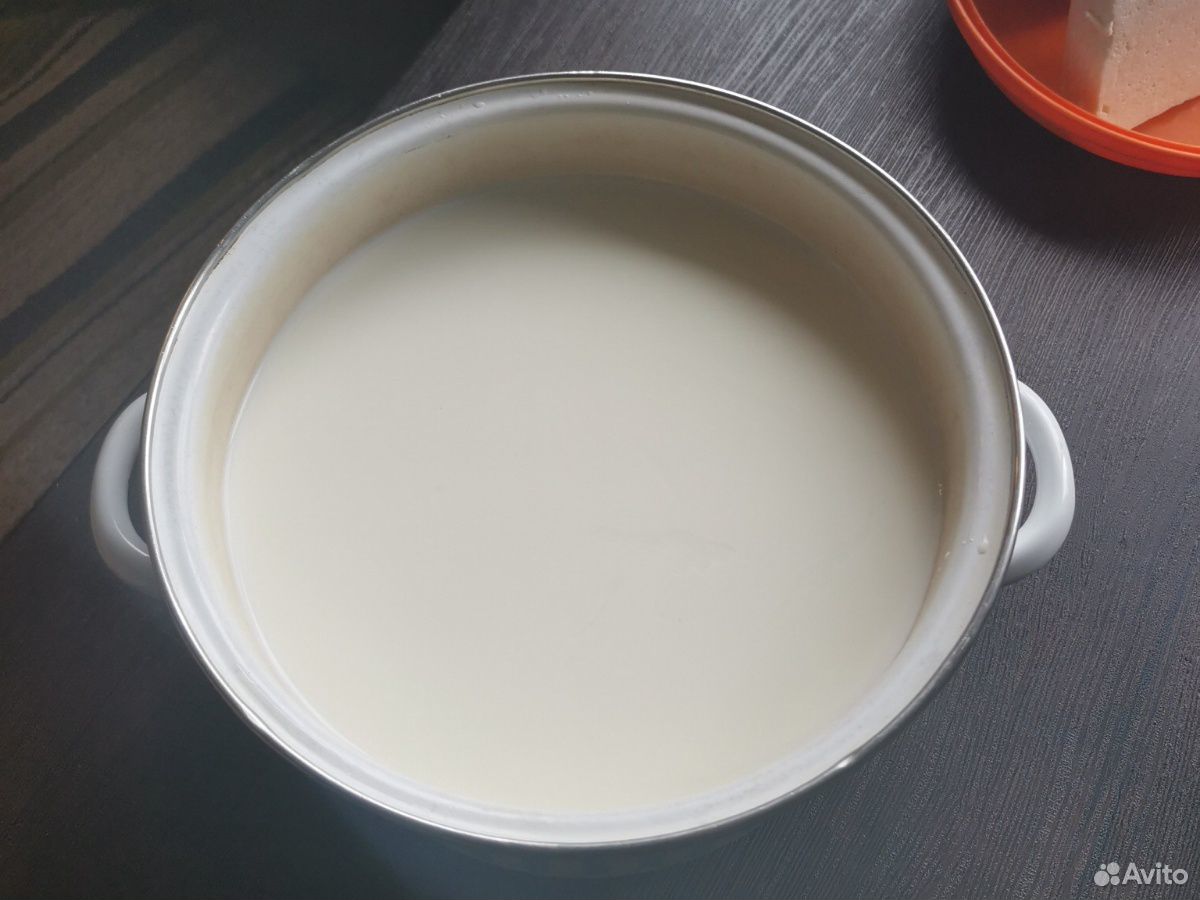 Молоко козье и сыр купить на Зозу.ру - фотография № 1