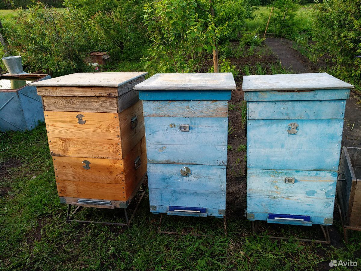 Ульи, инвентарь для пчеловодства купить на Зозу.ру - фотография № 2