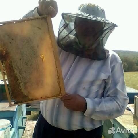 Сушь медовая немного с мёдом купить на Зозу.ру - фотография № 1