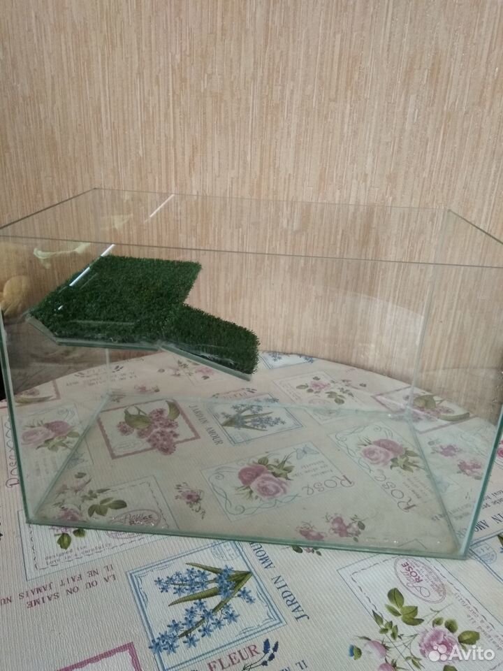 Аквариум для черепахи, габариты Д50 Ш30 В33 купить на Зозу.ру - фотография № 2