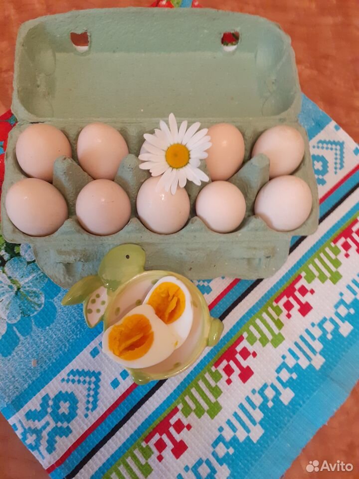 Продаю домашние яйца купить на Зозу.ру - фотография № 1