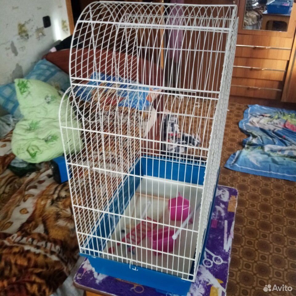 Клетка для попугаев купить на Зозу.ру - фотография № 2