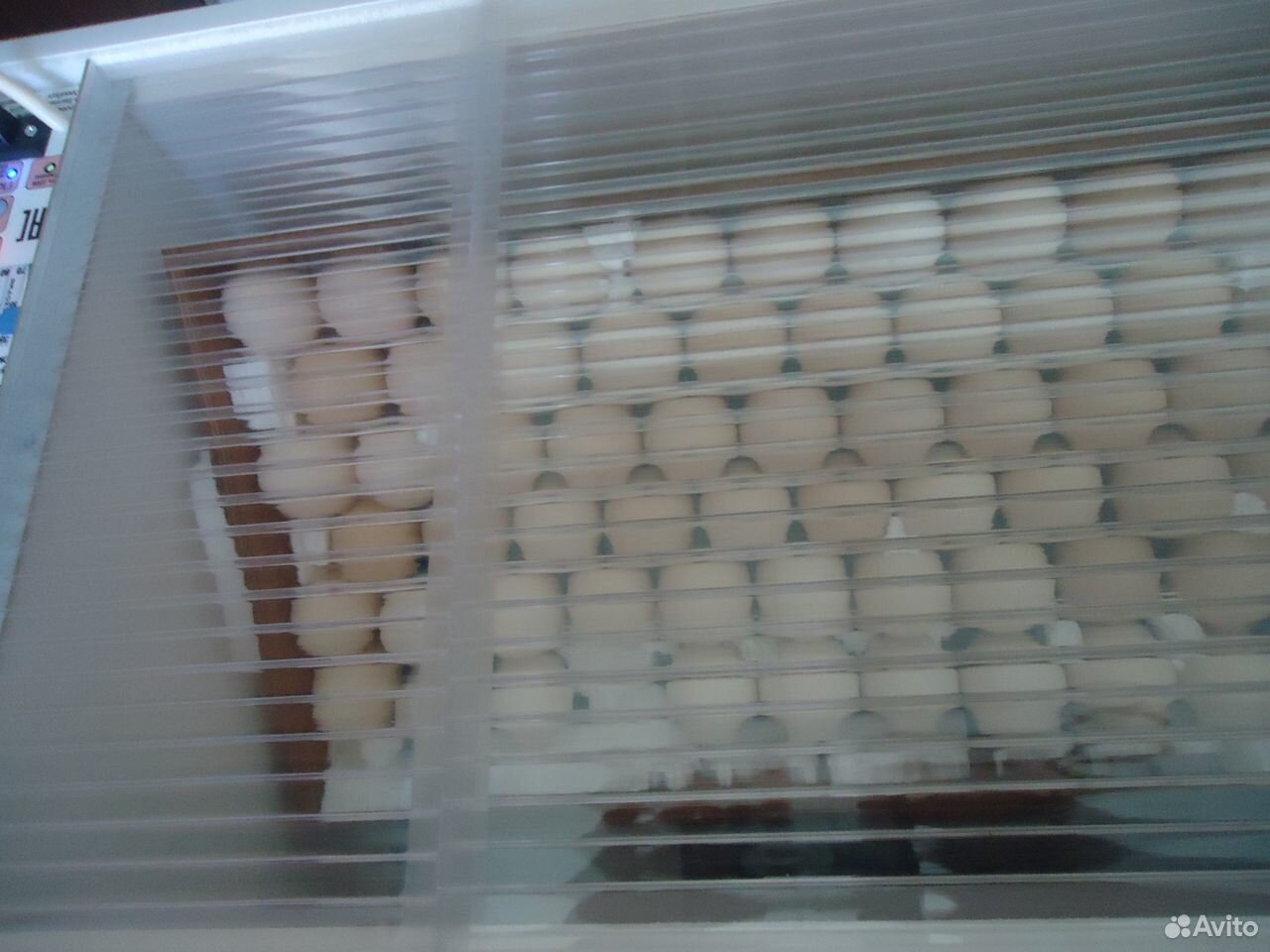 Инкубатор Блиц Норма на 72 яйца купить на Зозу.ру - фотография № 3