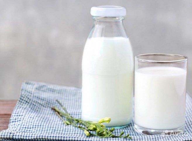 Домашнее молоко и молочная продукция купить на Зозу.ру - фотография № 1