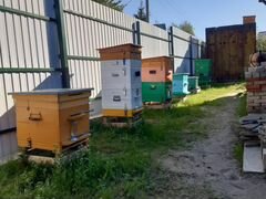 Пчелы, семьи, рои, отводки
