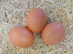 Яйца куриные. Живые витамины:)