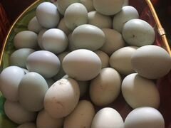 Яйца инкубационные порода ухейилюй