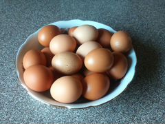Яйца домашних куриц
