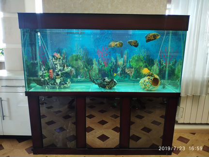 Продам аквариум 500 литров в полном комплекте