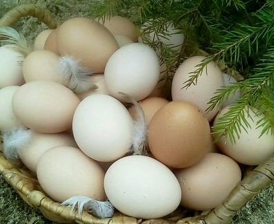 Яйцо деревенское