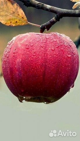 Детские и подростковые вещи на девочку