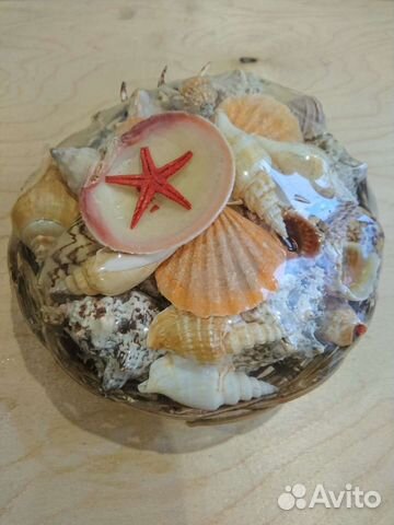 Ракушки в аквариум