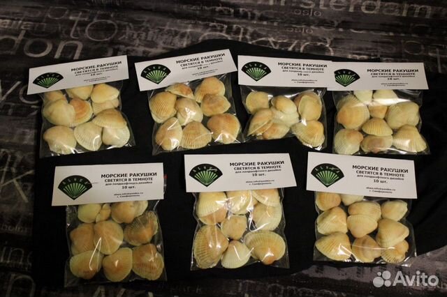 Ракушка скафарка светится в темноте