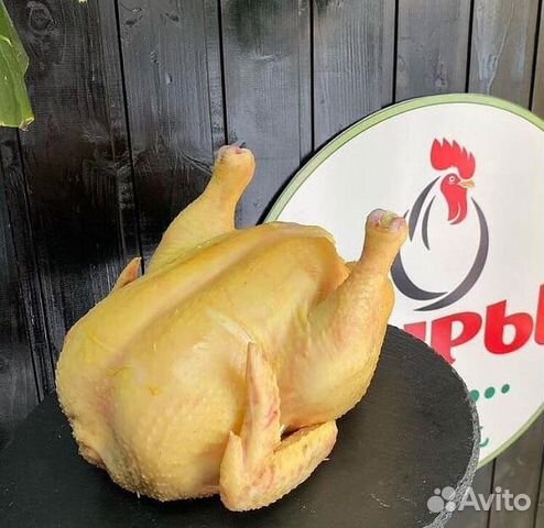 Куры (без головы)