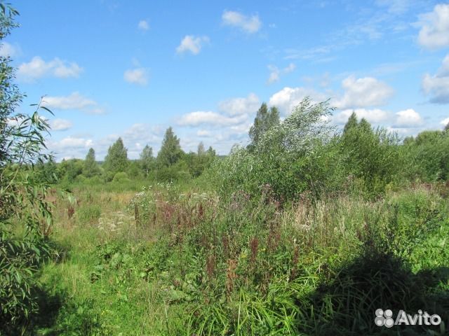 Участок 40 сот. (ИЖС) Участок 40 сот. (ИЖС)