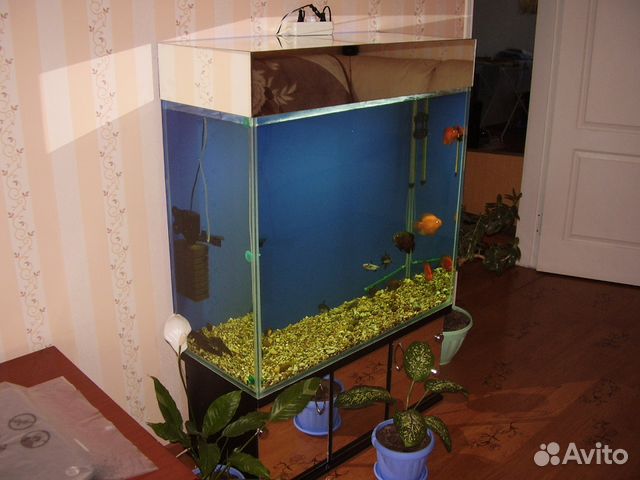 Продаю аквариум купить на Зозу.ру - фотография № 1