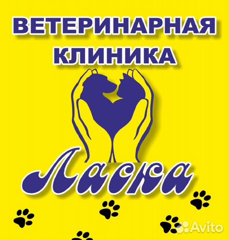 Магазин Ласка Саратов Каталог И Цены Фото