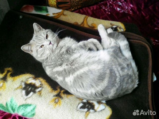 Матрац Матрац