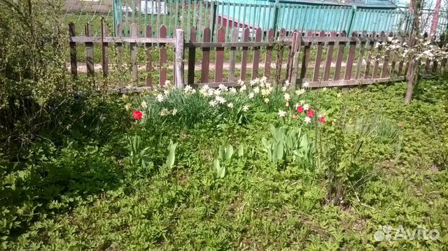 Дача 20 м² на участке 5 сот. Дача 20 м² на участке 5 сот.