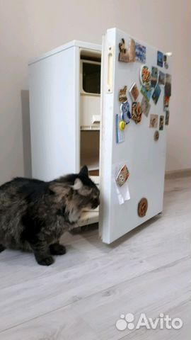 Холодильник Смоленск-8 оао Айсберг, морозилка Холодильник Смоленск-8 оао Айсберг, морозилка