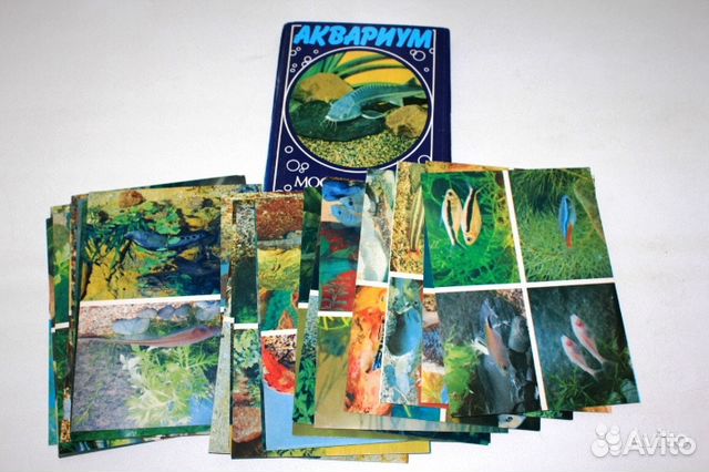 «Мир аквариума». Комплект открыток СССР