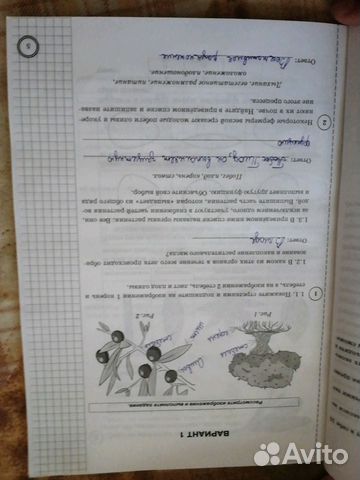 Учебник