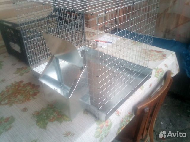 Клетки