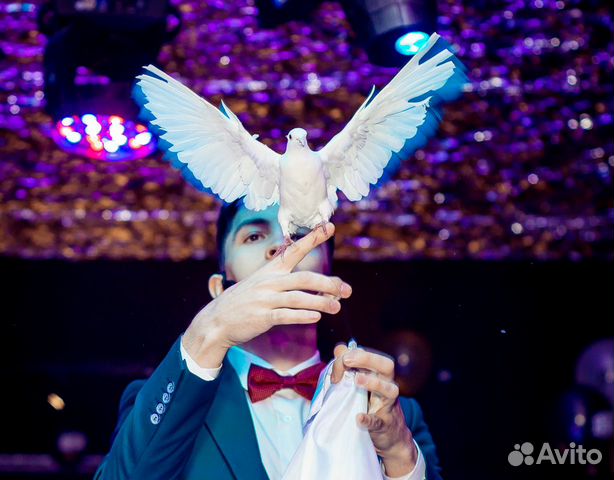 Фокусник-иллюзионист на любой праздник