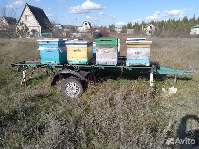 Продам пчело прицеп купить на Зозу.ру - фотография № 1
