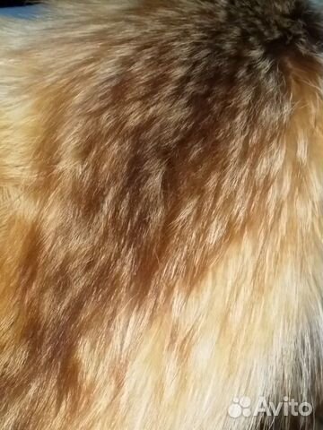 Шуба автоледи