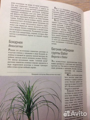 Книга- Женщины книга для вас- комнатные растения Книга- Женщины книга для вас- комнатные растения