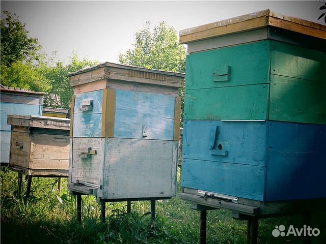 Улик для пчел купить на Зозу.ру - фотография № 1