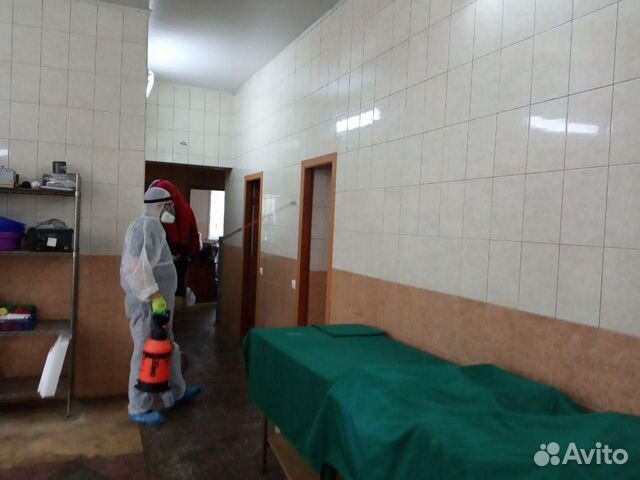 Дезинсекция/уничтожение клопов (тараканов,плесени) Дезинсекция/уничтожение клопов (тараканов,плесени)