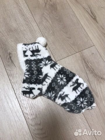 Одежда для собак