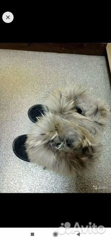 Угги UGG Угги UGG
