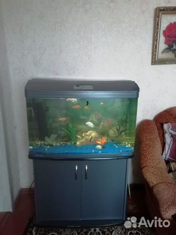 Продам аквариум 160 литров купить на Зозу.ру - фотография № 5