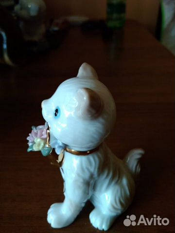 Кот