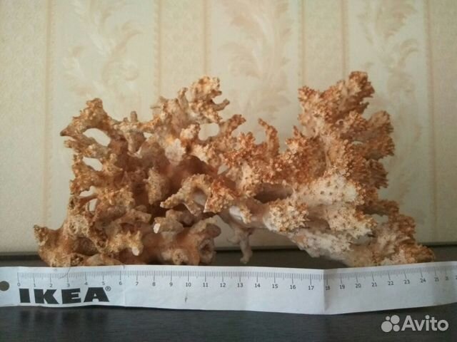 Натуральный большой Коралл для аквариума Натуральный большой Коралл для аквариума