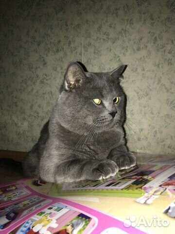 Вязка Вязка